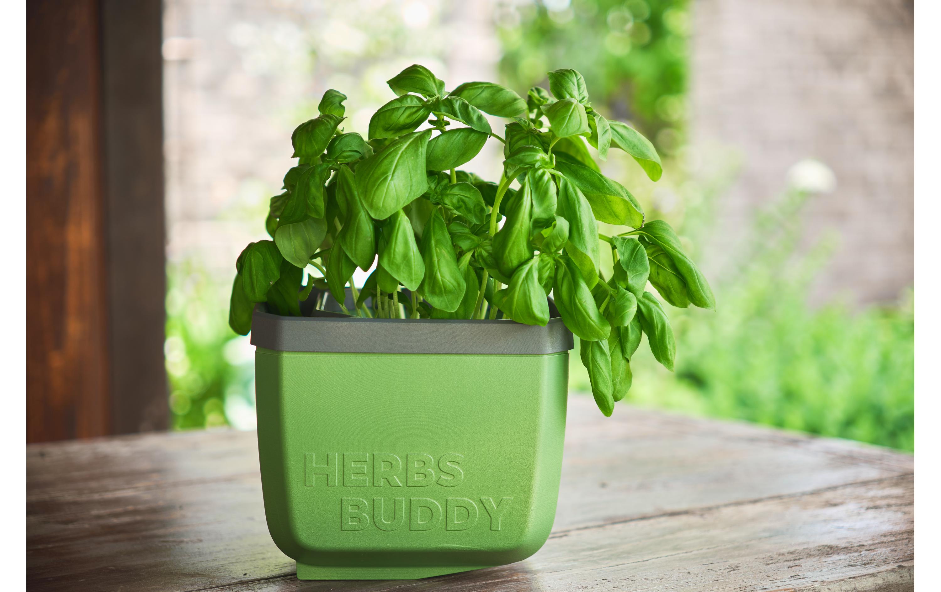 Gusta Garden HERBS BUDDY Kräutertopf 3er Set Grün