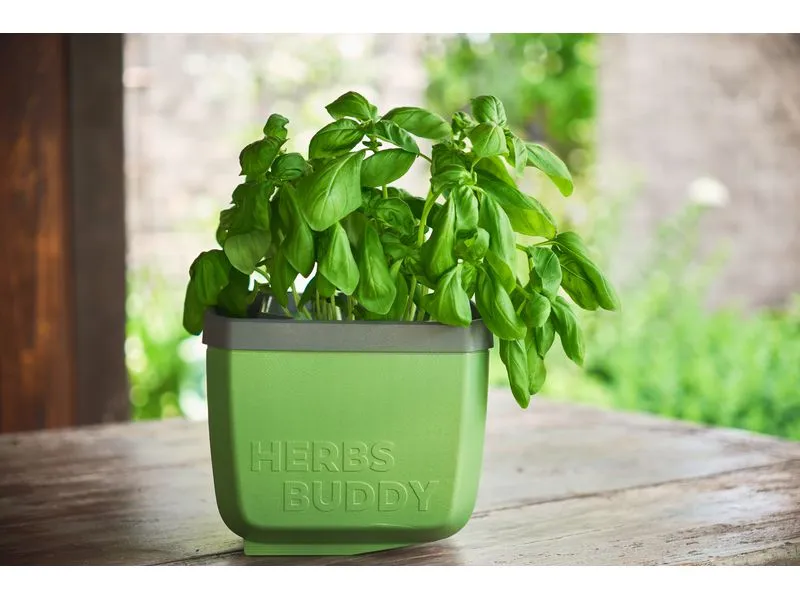 Gusta Garden HERBS BUDDY Kräutertopf 3er Set Grün