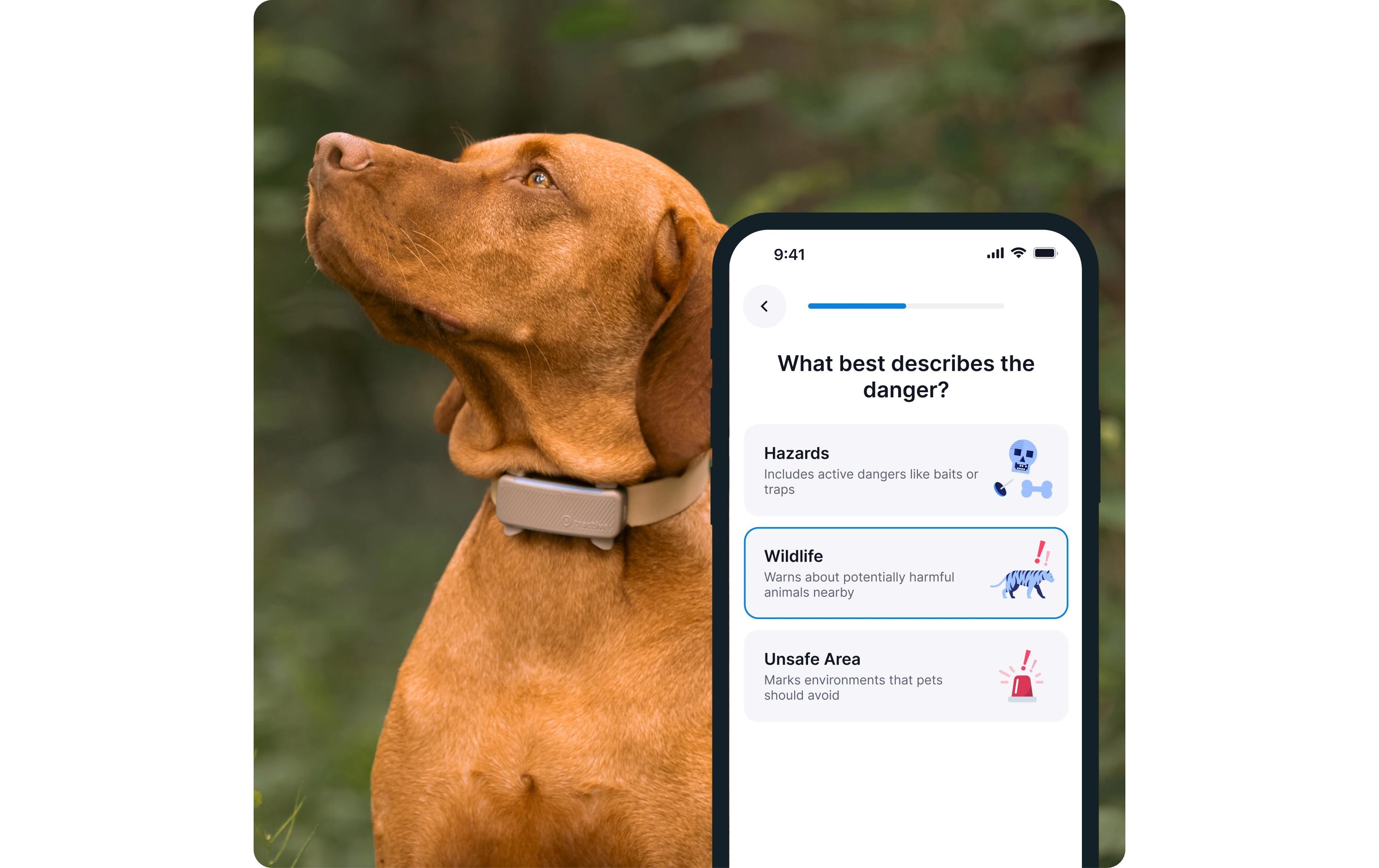tractive GPS-Tracker DOG 6 Braun