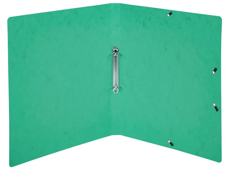 Exacompta Ringbuch Top Color A4 2 cm, Grün