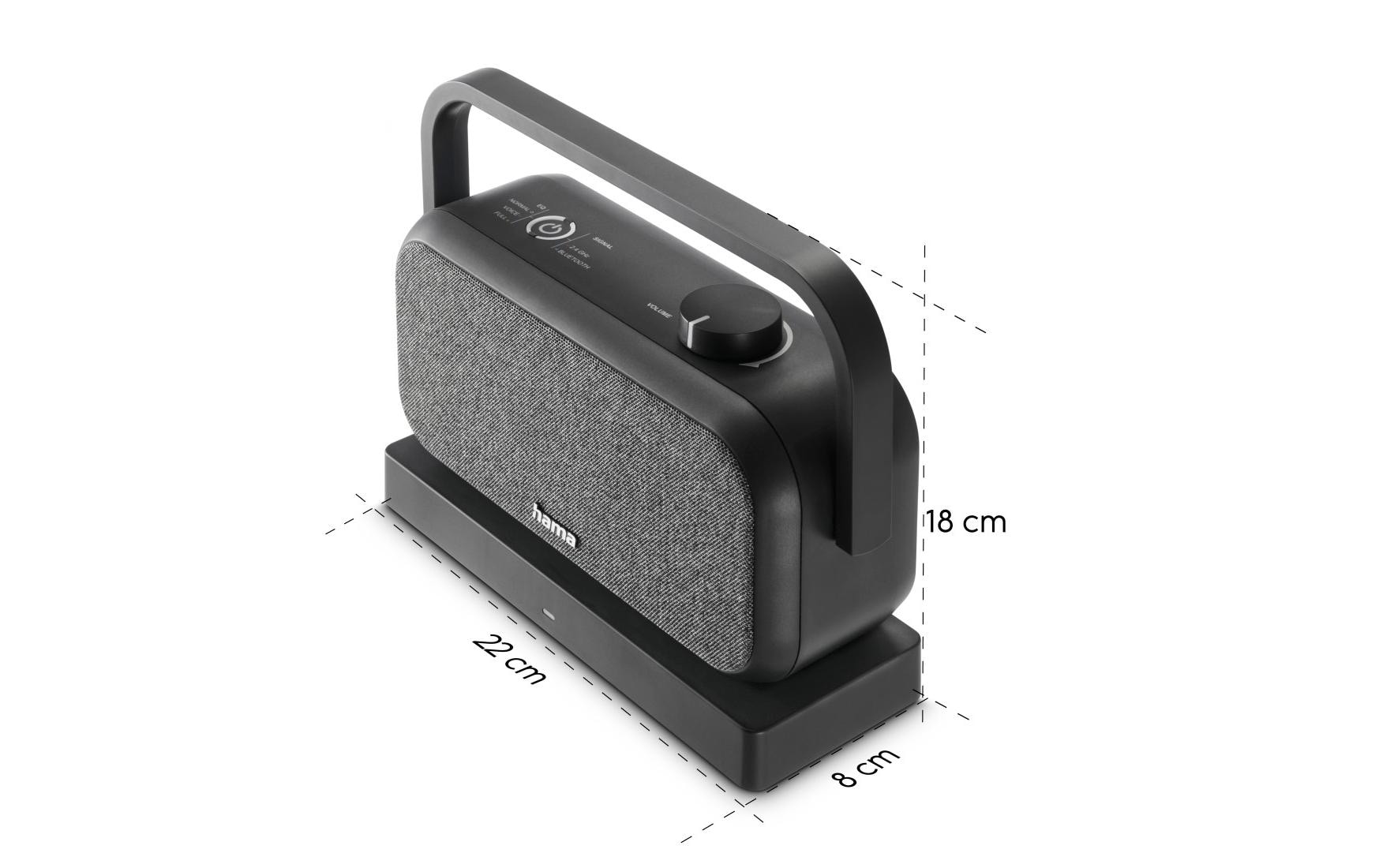 Hama Lautsprecher tragbar, TV, 2.4 GHz Station, Bluetooth, Stereo