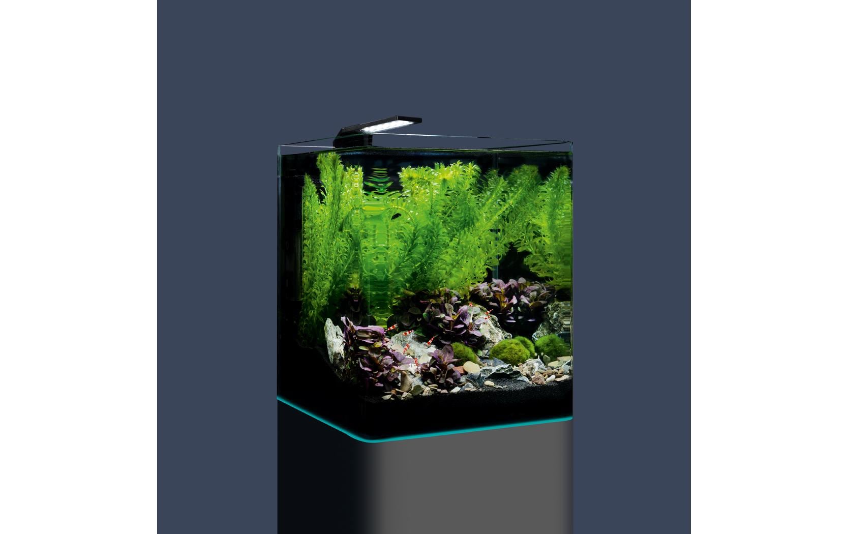 Dennerle Aquarium Nano Cube Complete, 20 l Dennerle Aquarium Nano Cube Complete, 20 l