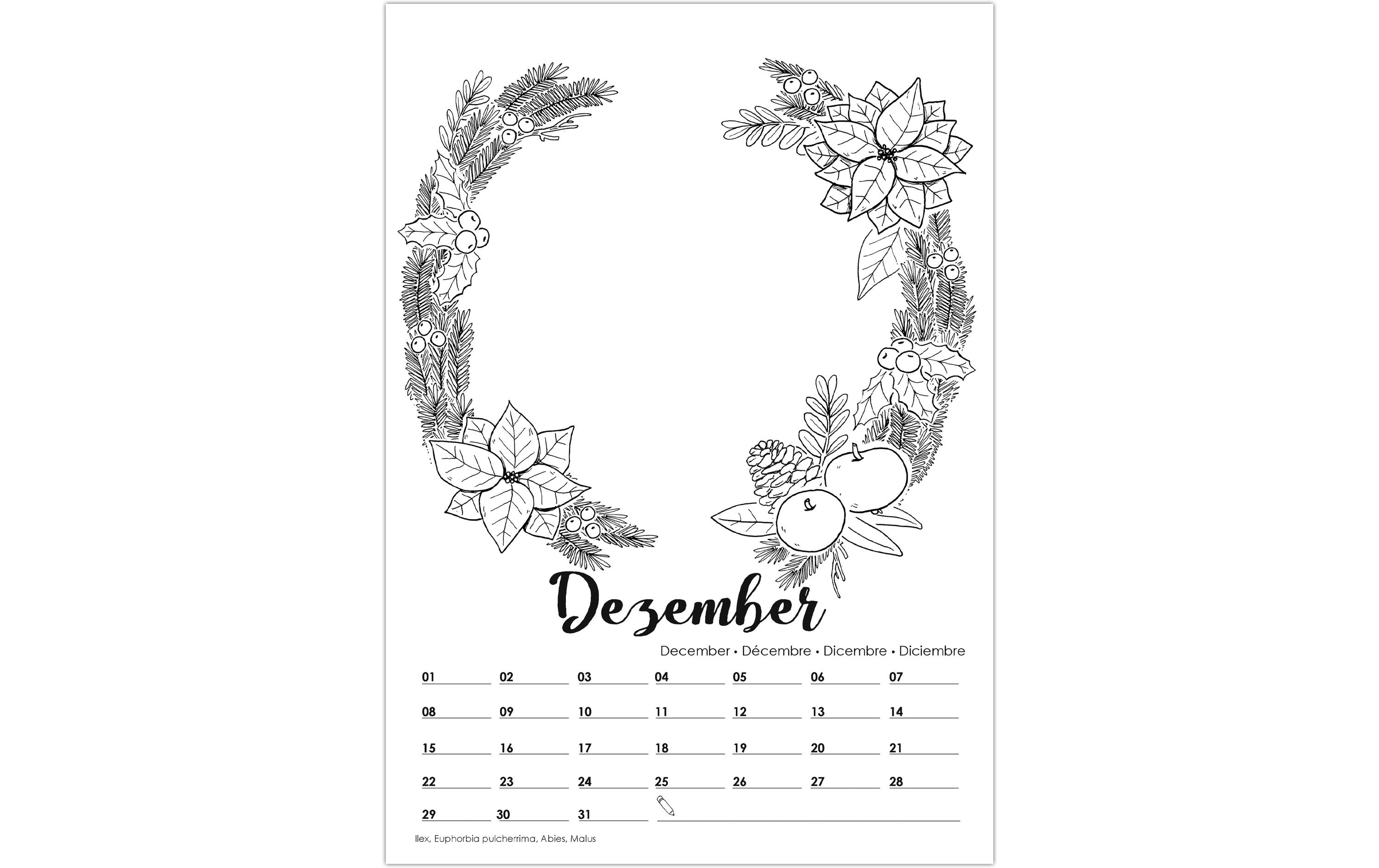URSUS Foto-Bastelkalender A4 URSUS Foto-Bastelkalender A4