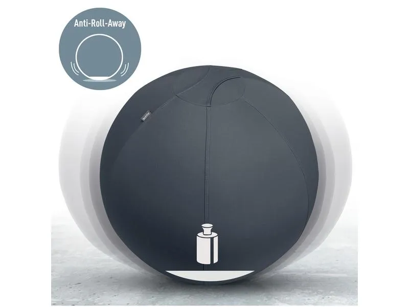Leitz Sitzball Ergo Active 65 cm Leitz Sitzball Ergo Active 65 cm