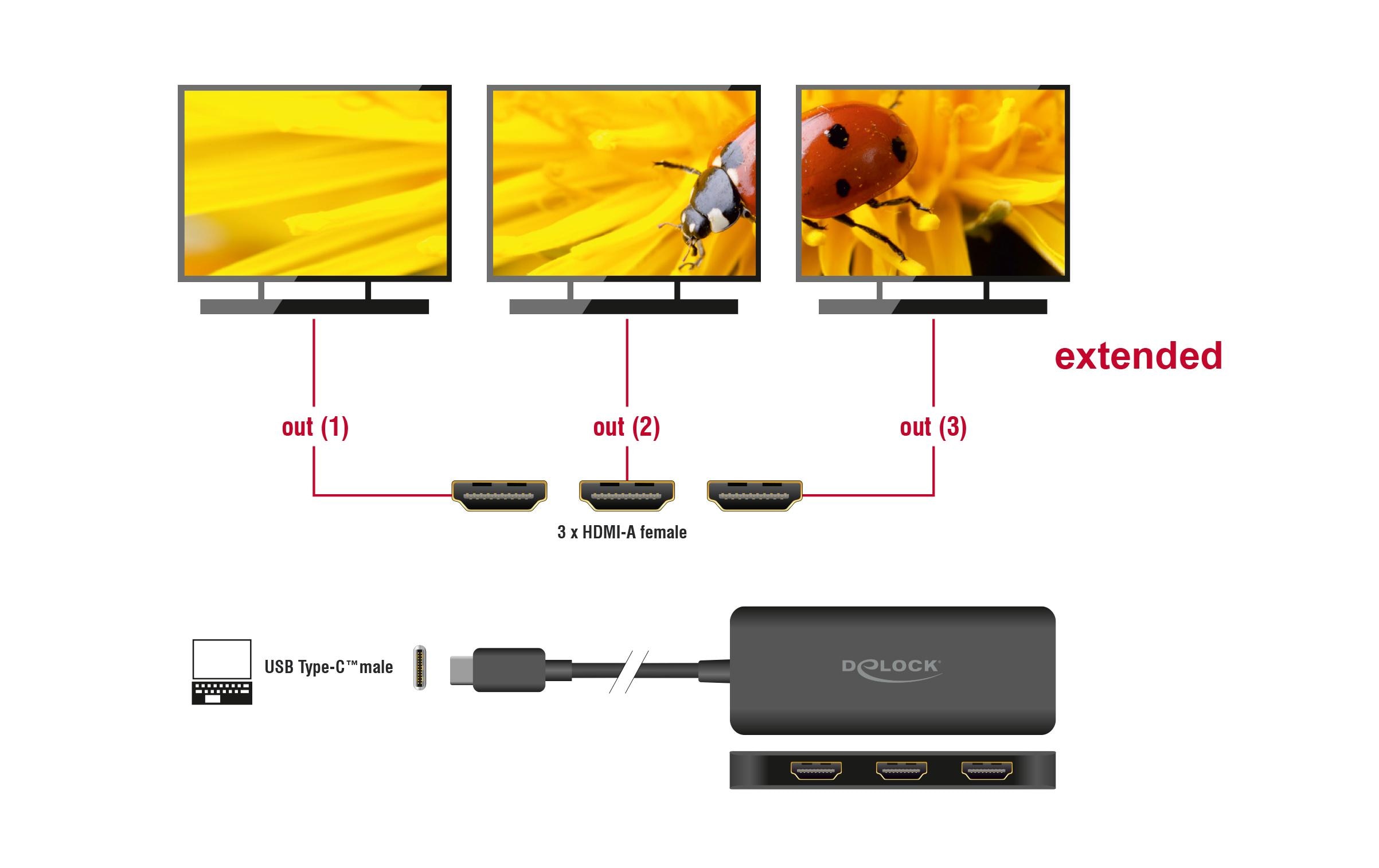 Delock 3-Port Signalsplitter 4K 30 Hz, USB-C - 3x HDMI