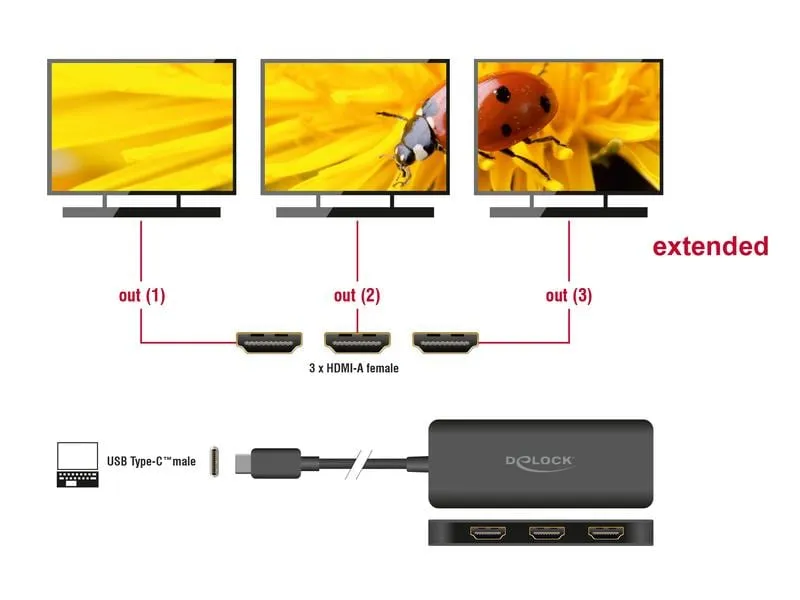 Delock 3-Port Signalsplitter 4K 30 Hz, USB-C - 3x HDMI Delock 3-Port Signalsplitter 4K 30 Hz, USB-C - 3x HDMI