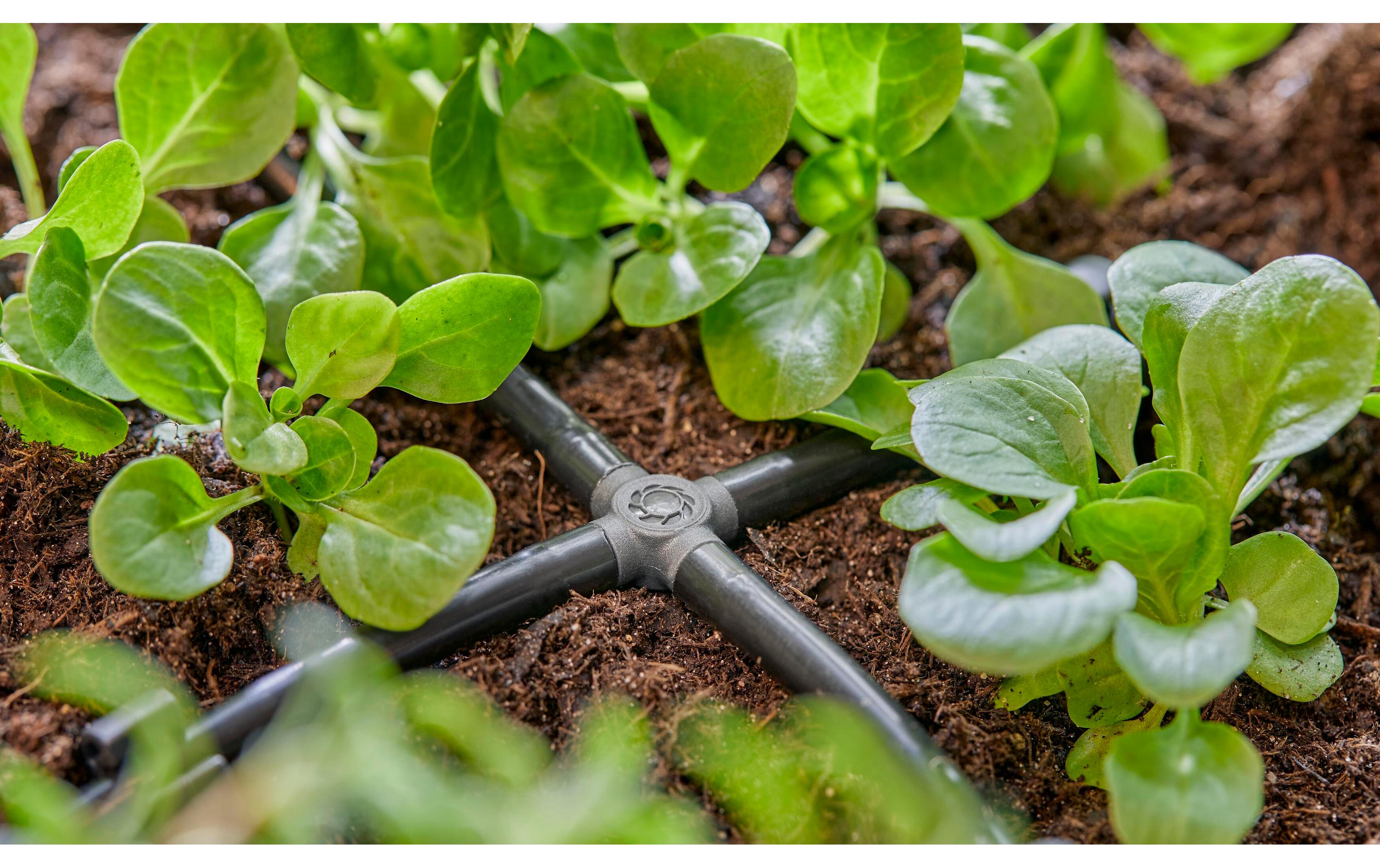 GARDENA Kreuzstück Micro-Drip-System 3/16, 10 Stück