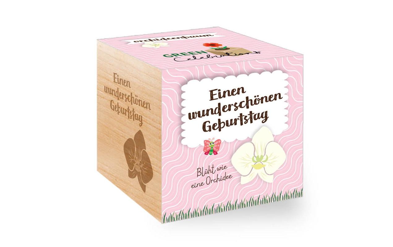 Feel Green Green Celebrations Orchideenbaum Feel Green Green Celebrations Orchideenbaum