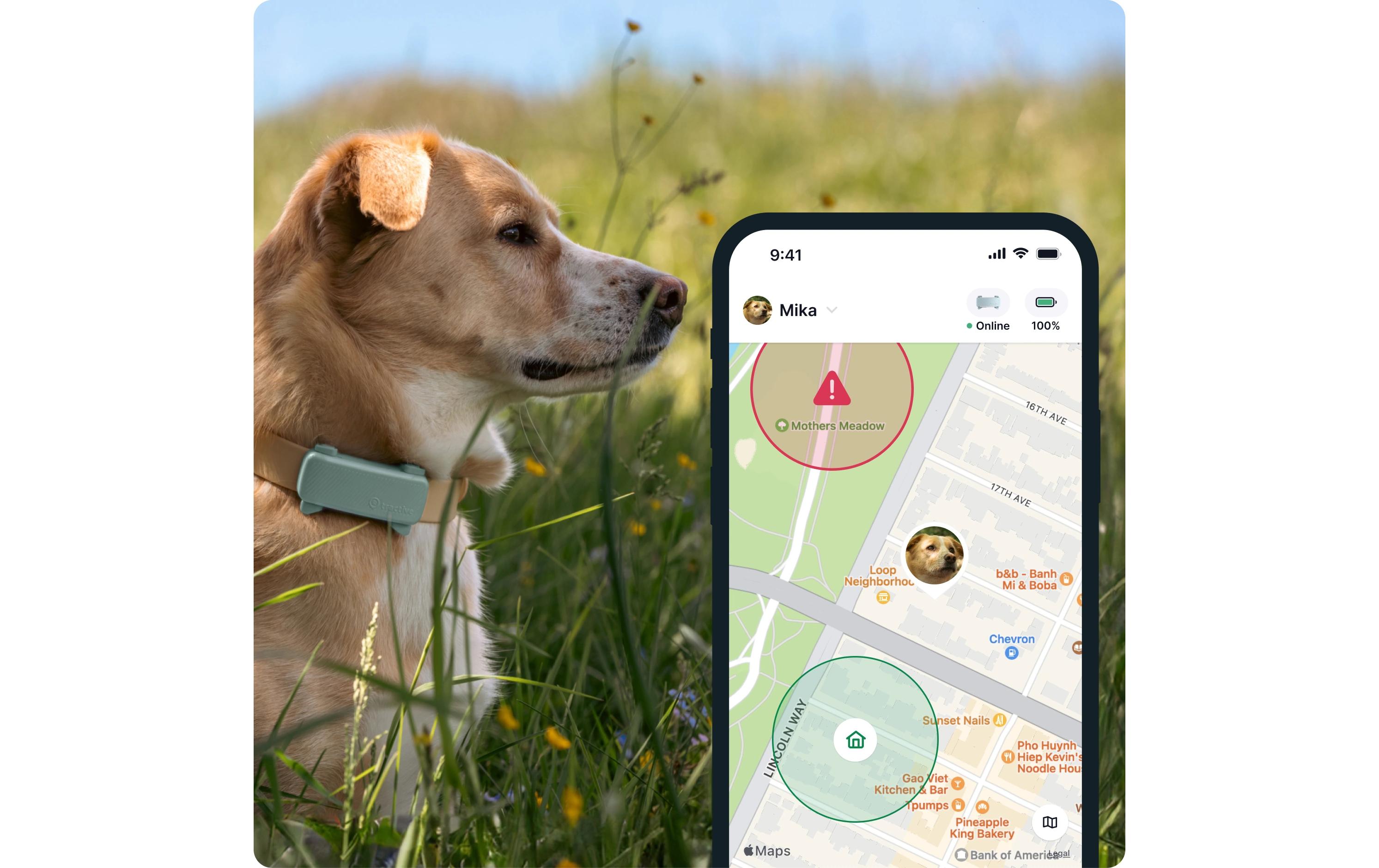 tractive GPS-Tracker DOG 6 Mint