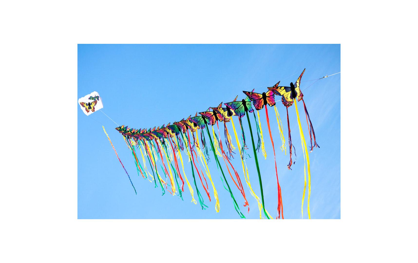 Invento-HQ Einleinerdrachen Butterfly Ruby, L Invento-HQ Einleinerdrachen Butterfly Ruby, L