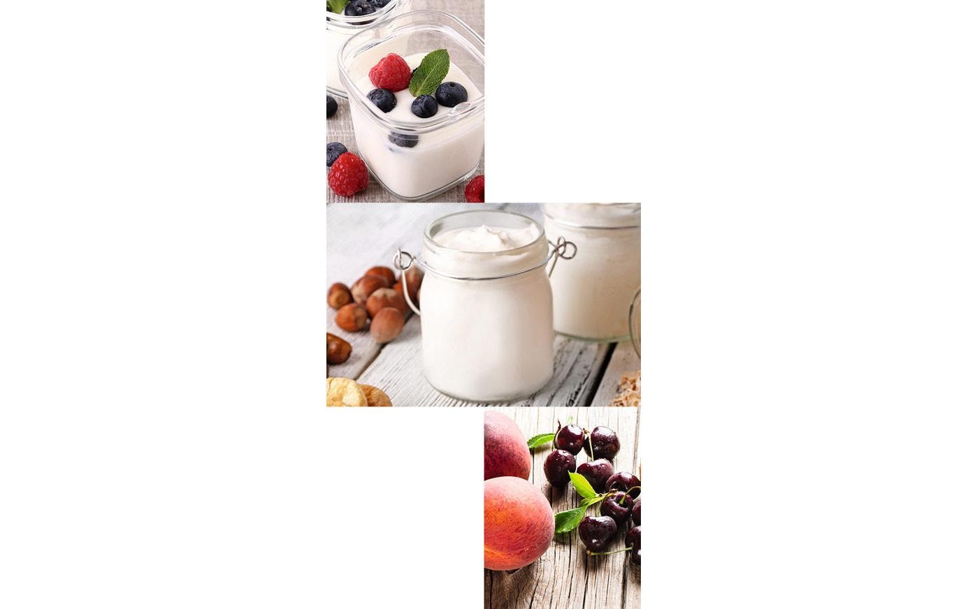 Steba Joghurtmaker JM 2 2.4 l