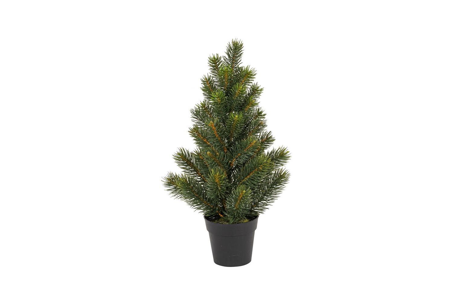 Botanic-Haus Weihnachtsbaum Tannenbaum im Topf, 41 cm Botanic-Haus Weihnachtsbaum Tannenbaum im Topf, 41 cm