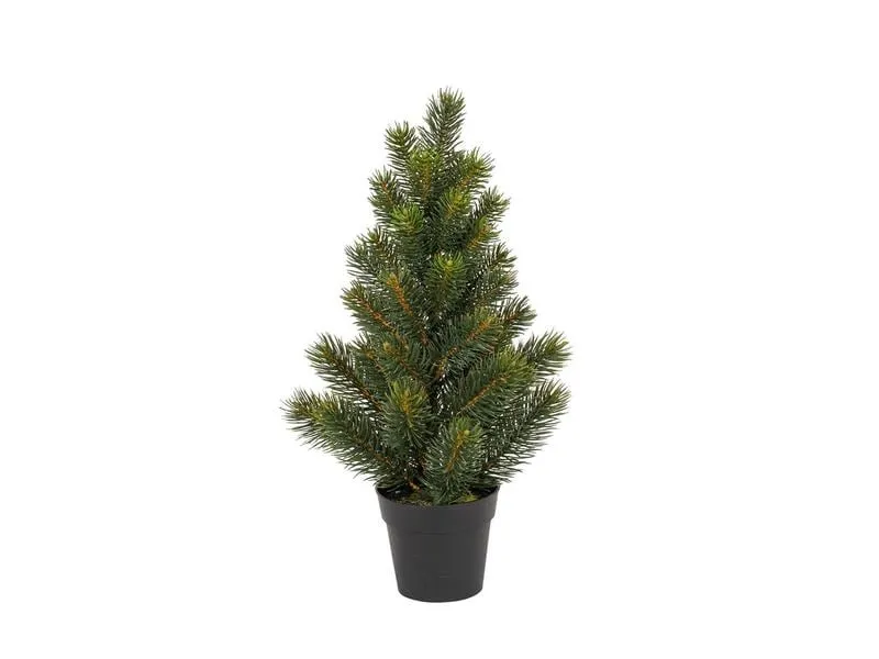 Botanic-Haus Weihnachtsbaum Tannenbaum im Topf, 41 cm Botanic-Haus Weihnachtsbaum Tannenbaum im Topf, 41 cm