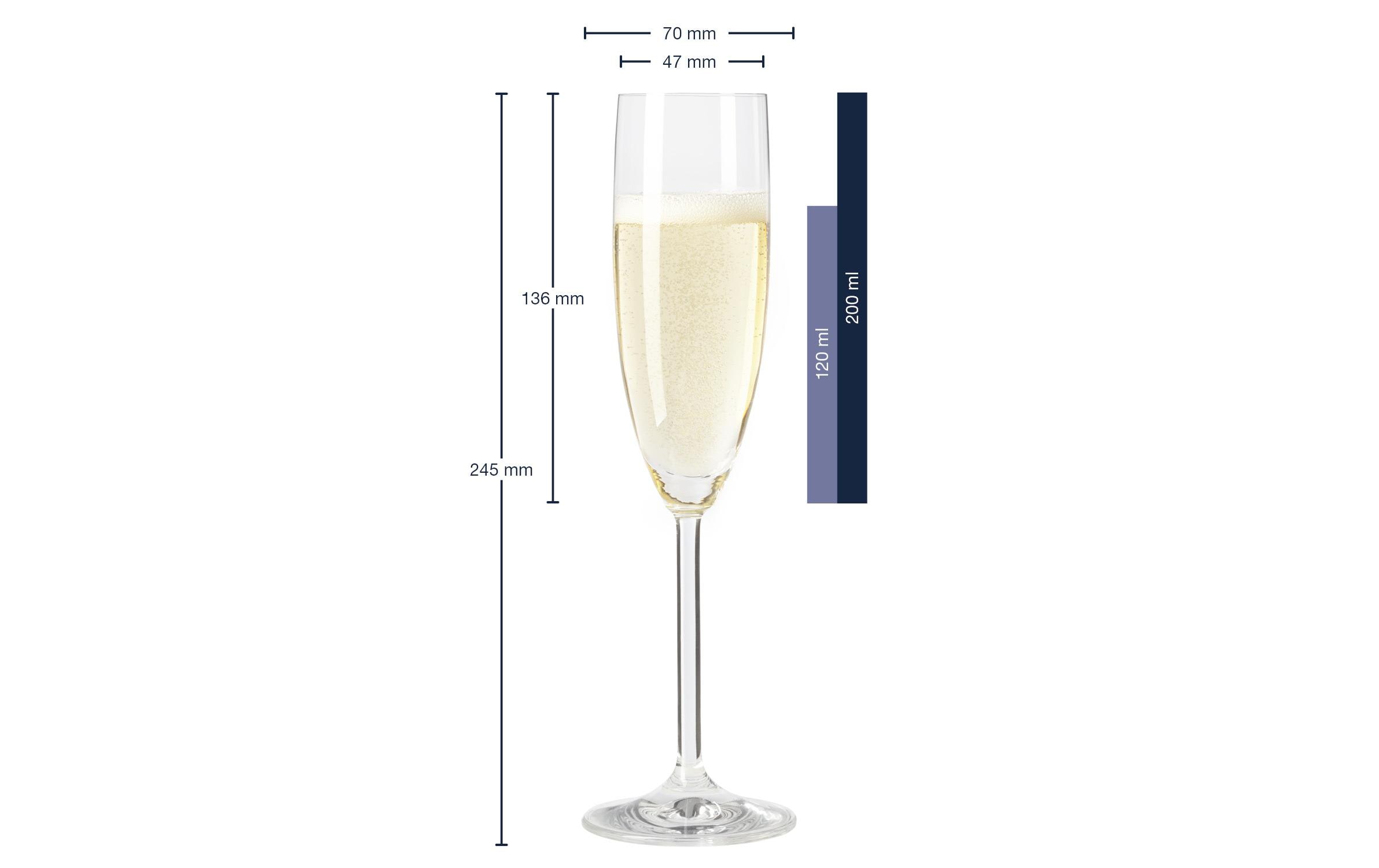 Leonardo Sektglas Daily 200 ml, 6 Stück, Transparent 