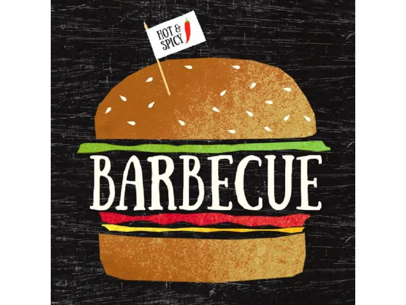 Braun + Company Papierservietten Big Barbecue 33 cm x 33 cm, 20 Stück