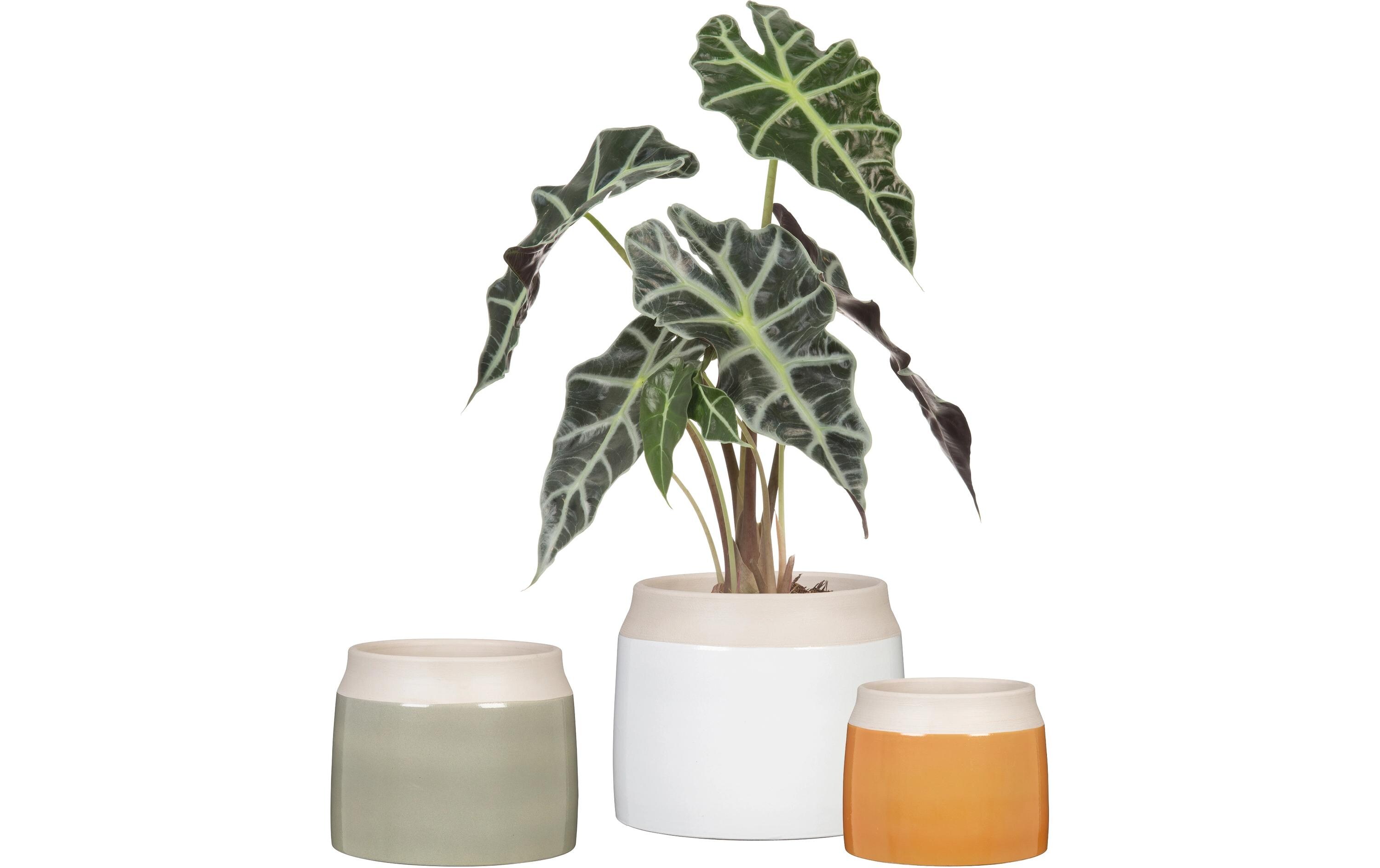 scheurich Blumentopf Blanco 717, 21.9 cm, Weiss