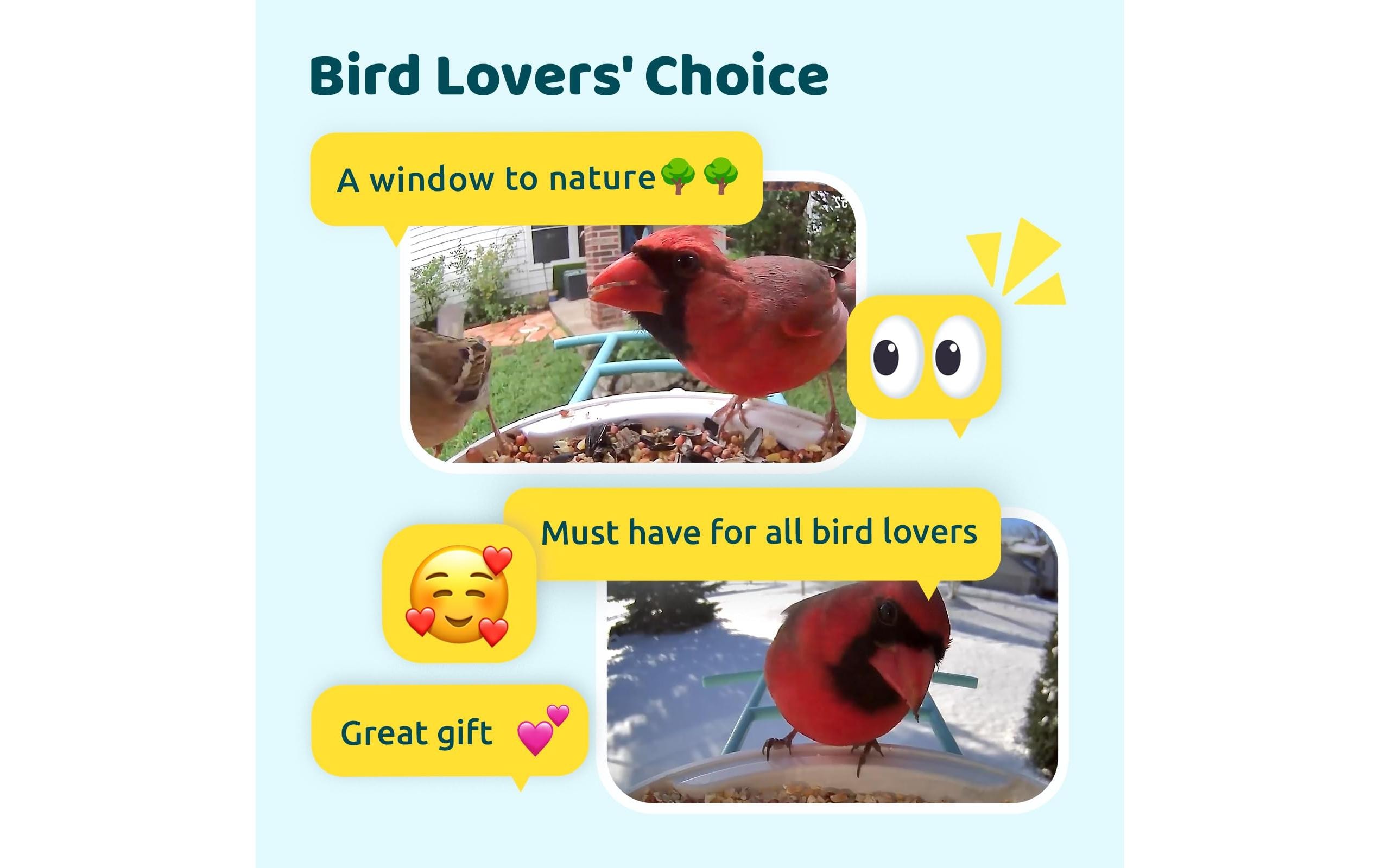 Birdfy Futterspender Basic Solar