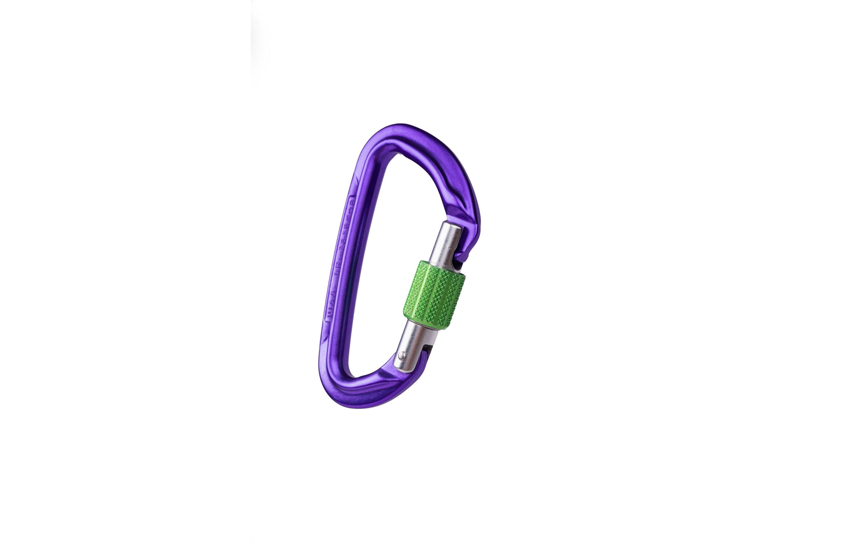 Wild Country Carabiner Session Screw Gate Lila