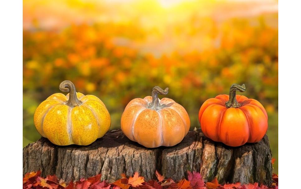 Dameco Aufsteller Kürbis 3er Set, assortiert