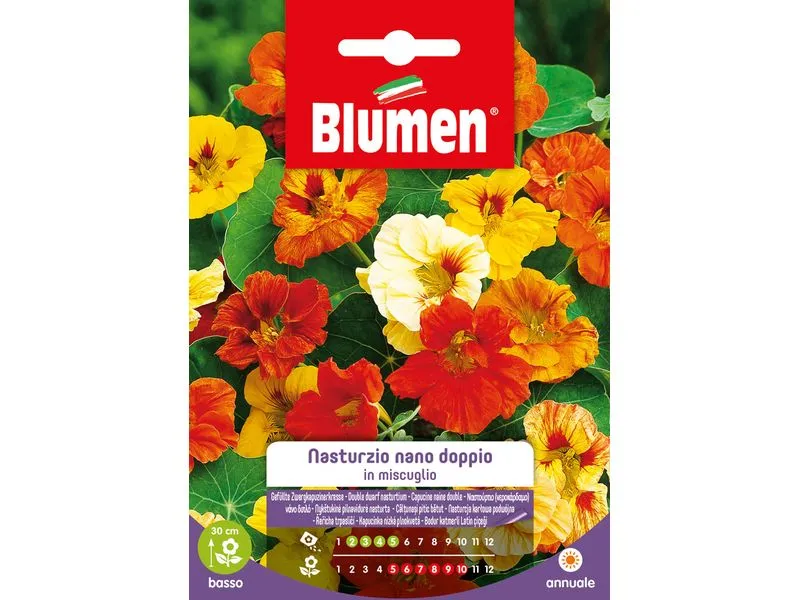 Blumen Saatgut Gefüllte Zwerkapuzinerkresse Mix Blumen Saatgut Gefüllte Zwerkapuzinerkresse Mix