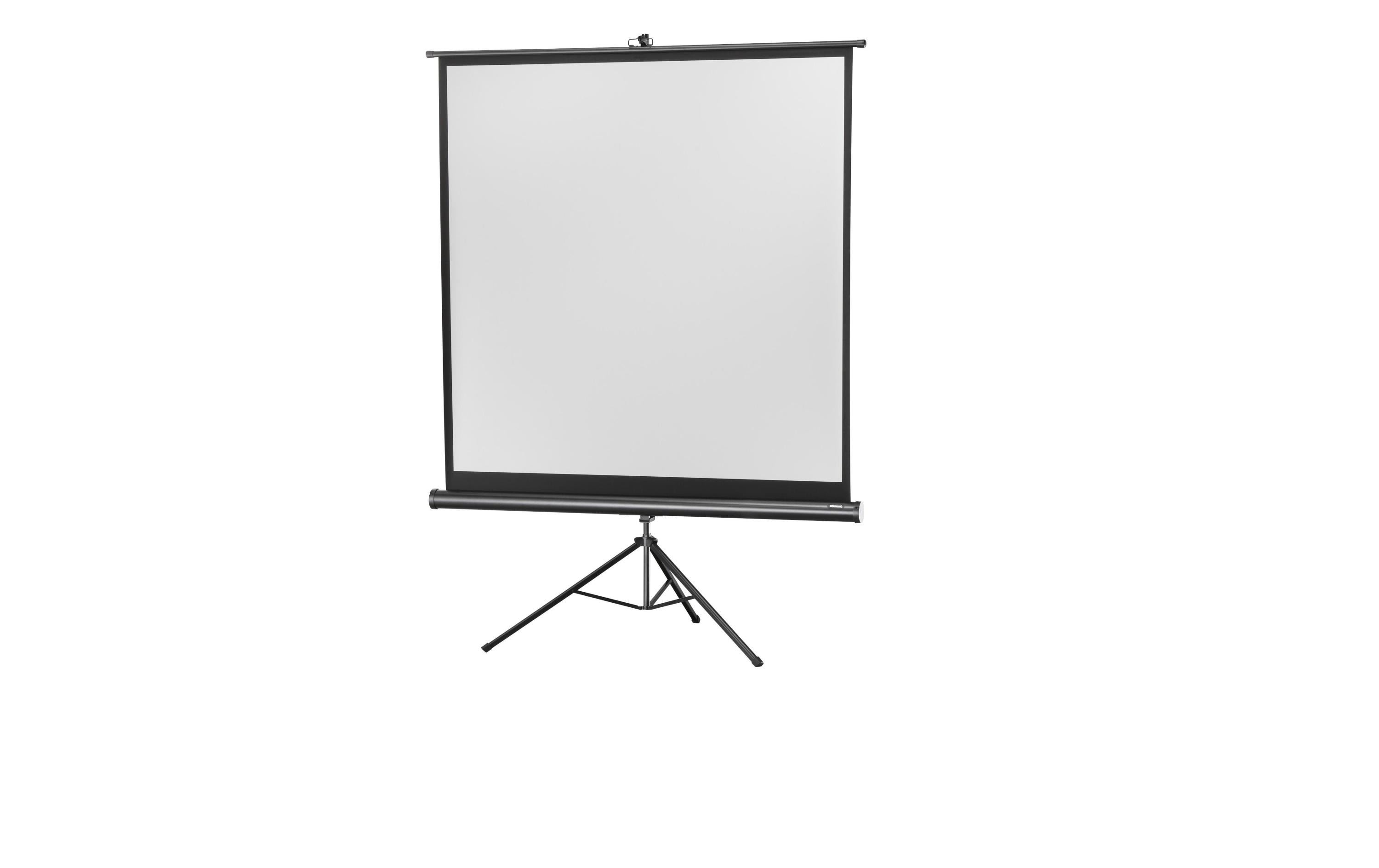 Celexon Stativleinwand Eco 219x219cm 1:1 Celexon Stativleinwand Eco 219x219cm 1:1