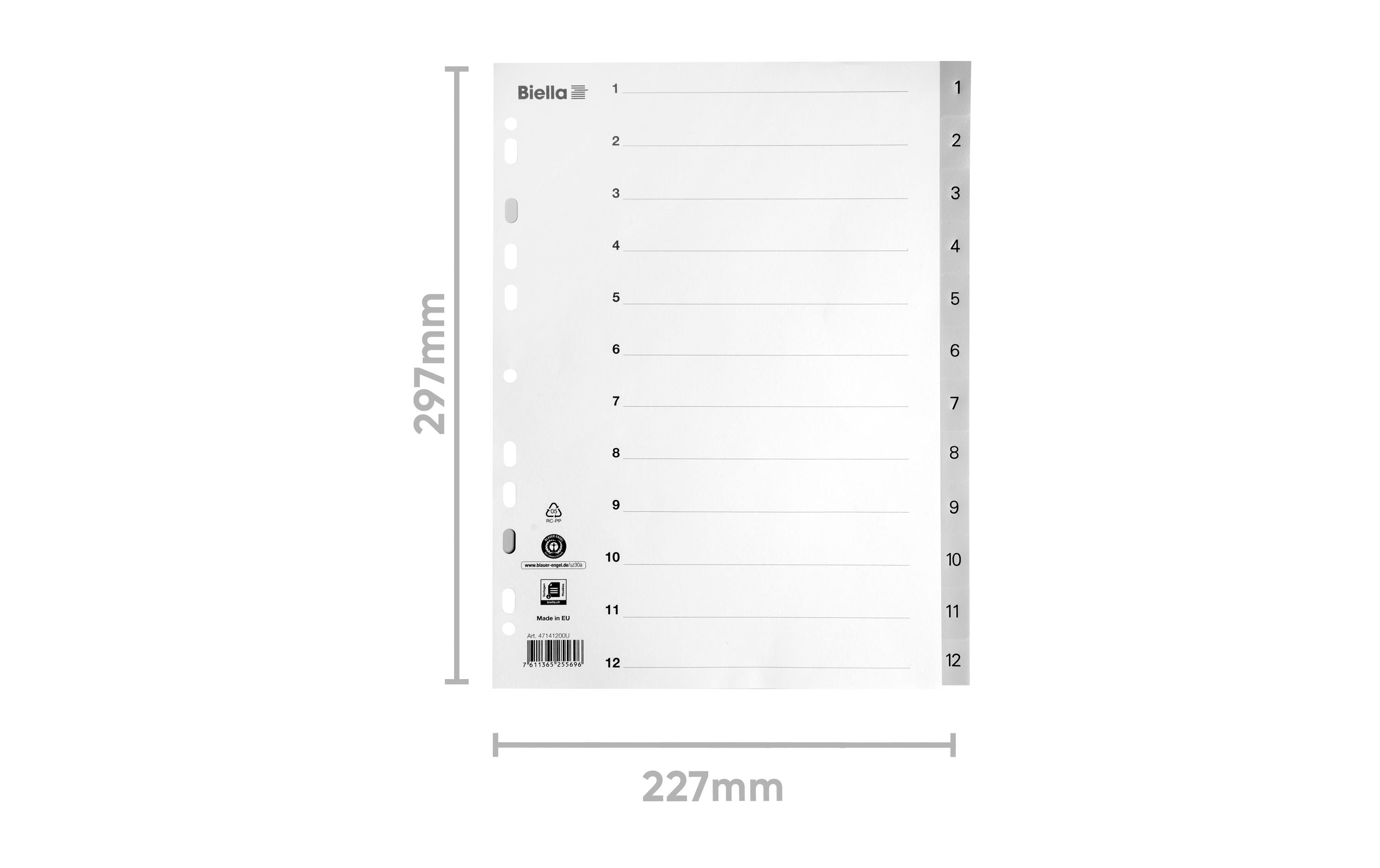 Biella Register A4 1 - 12 mit Indexblatt