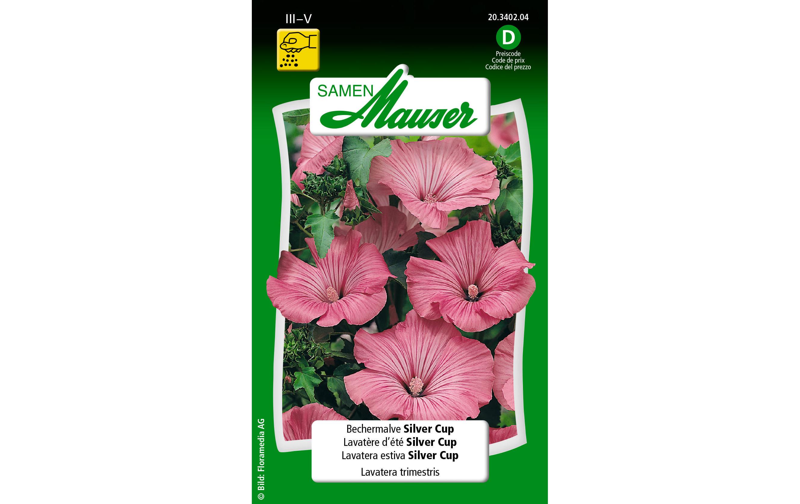 Samen Mauser Saatgut Bechermalve Silver Cup