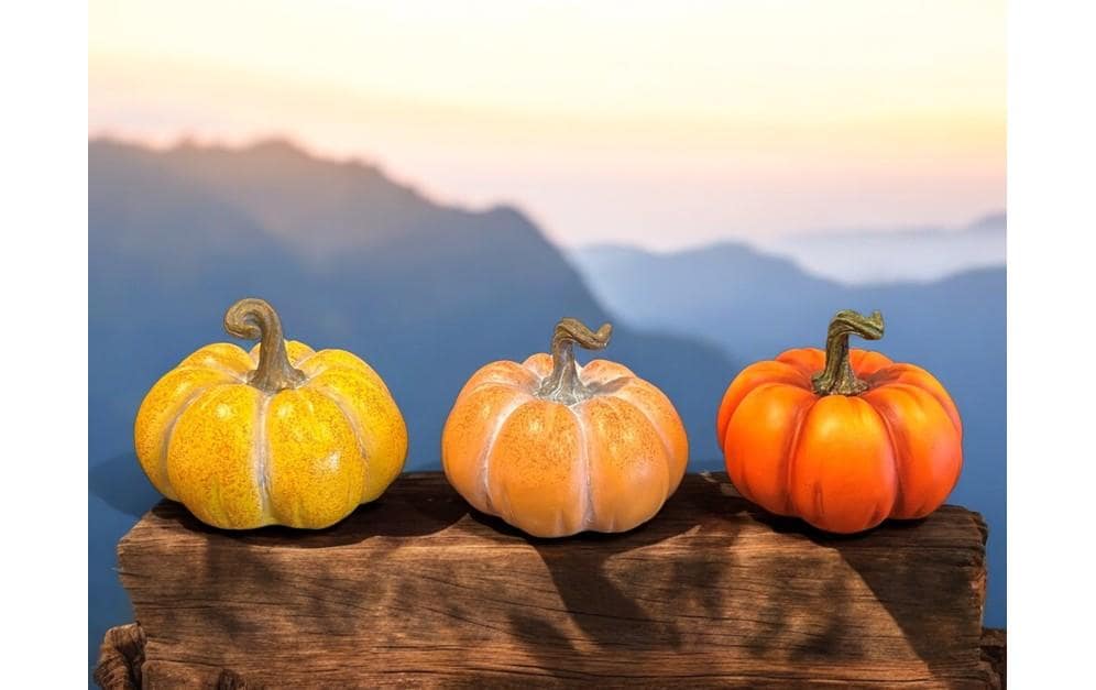 Dameco Aufsteller Kürbis 3er Set, assortiert