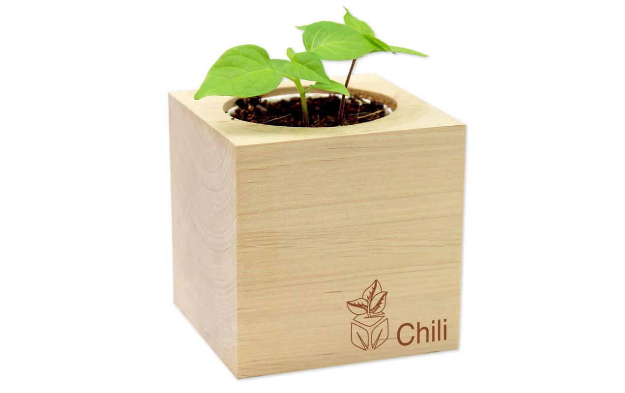 Feel Green Ecocube Chili BIO