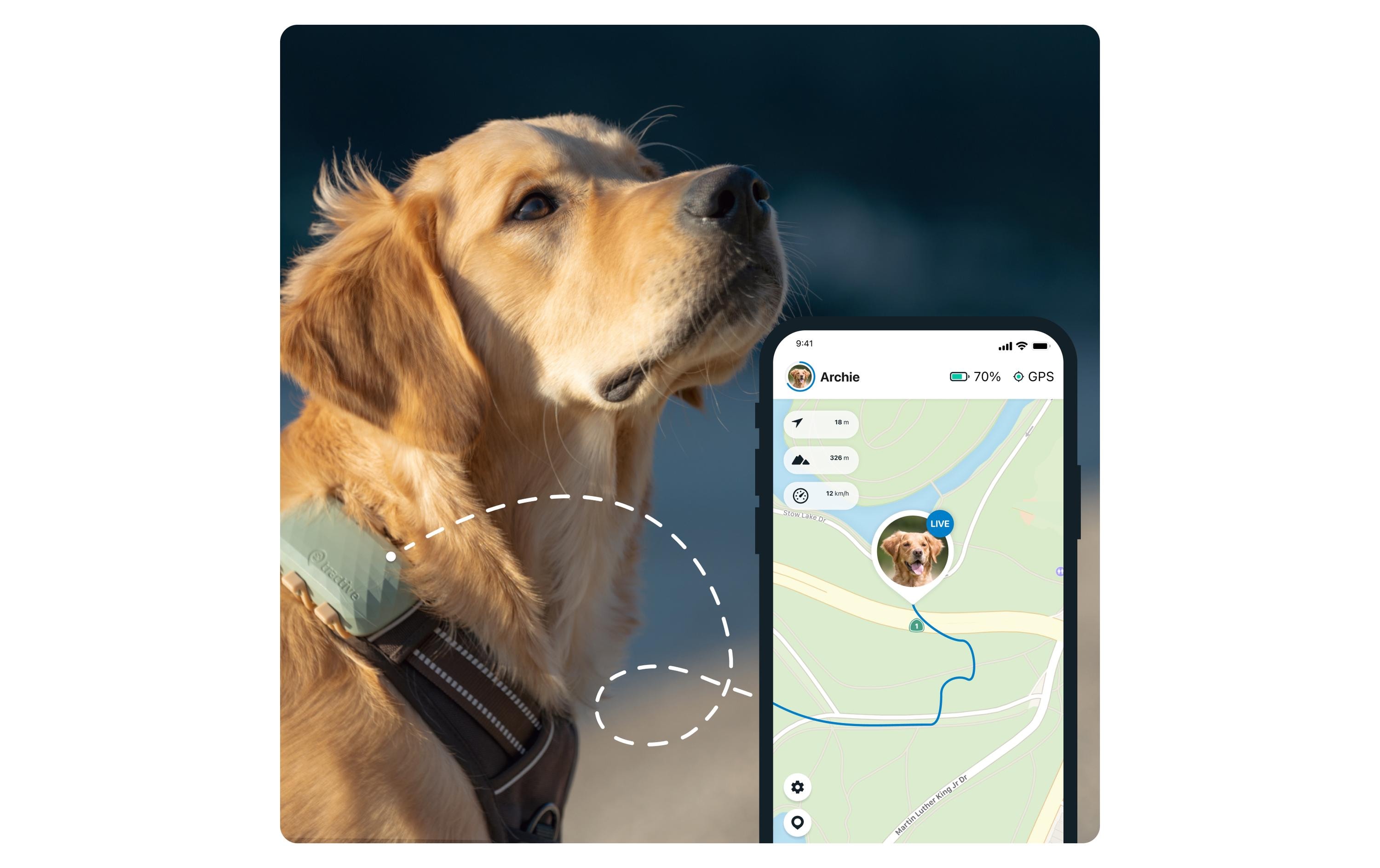 tractive GPS-Tracker DOG XL, Grün