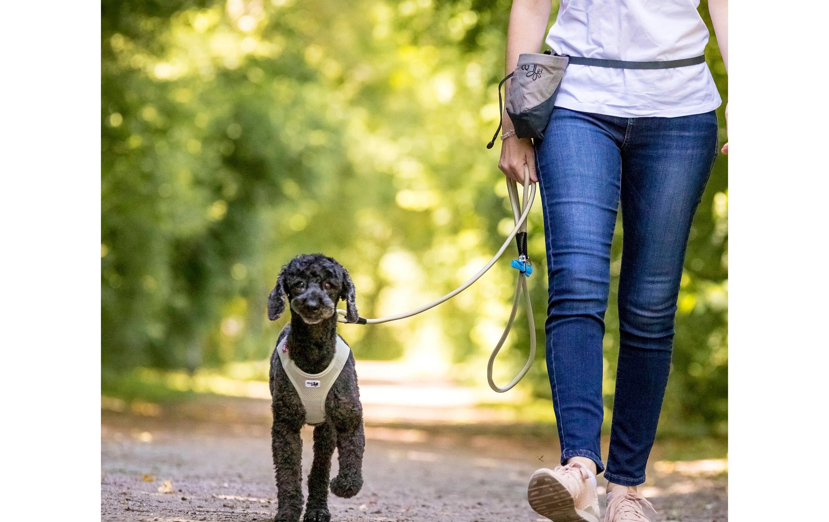 curli Hundeleine Stretch Comfort Black ø 8 mm / 1.8 m