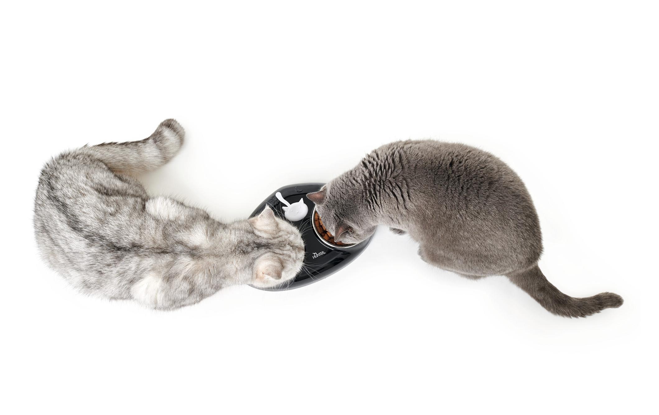 Hunter Melamin-Futterbar Moulins, 2 x 150 ml, Schwarz