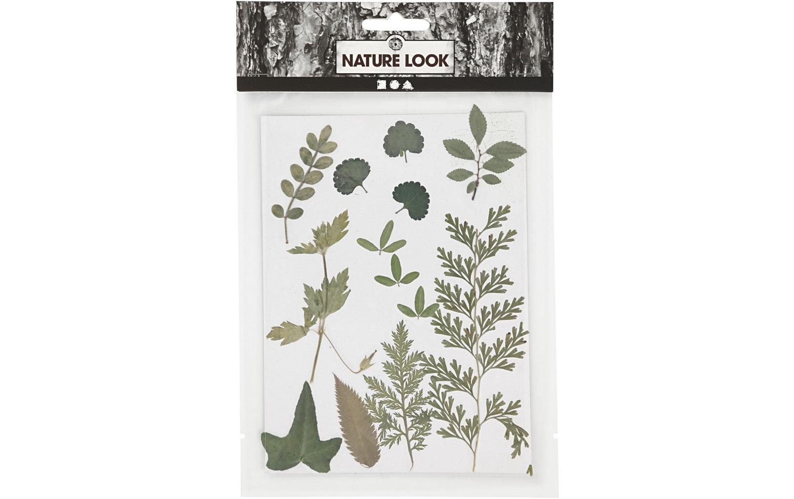 Creativ Company Streudeko Gepresste Blüten, 13 farbig sortiert