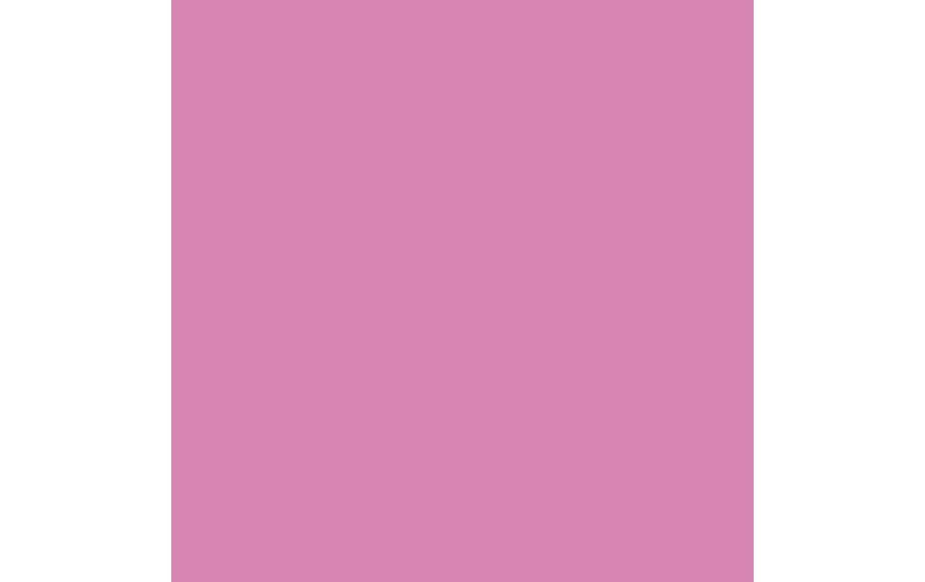 Amsterdam Acrylfarbe Standard 385 Chinacridonrosa deckend, 120 ml