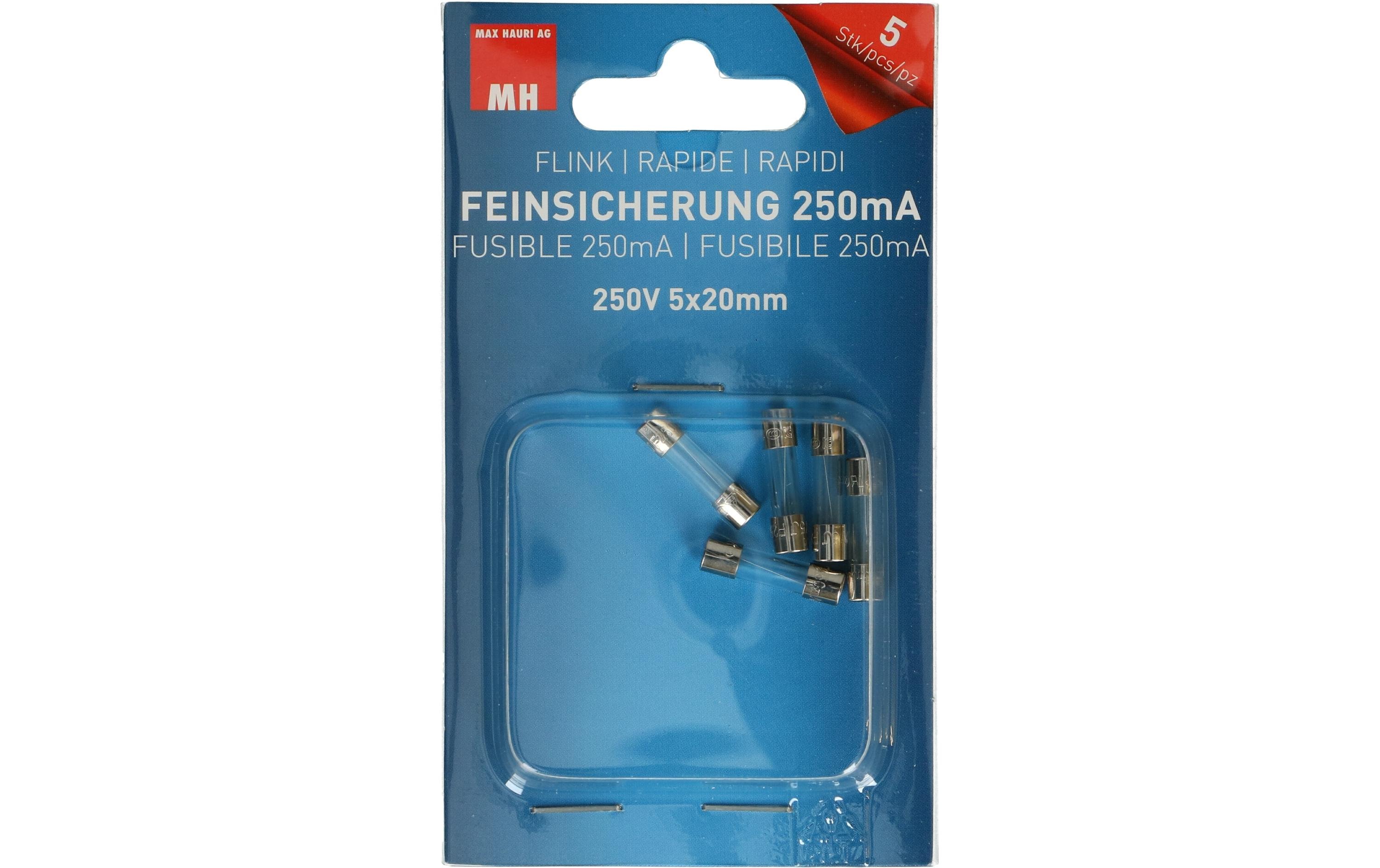 Max Hauri Schmelzsicherung 5 x 20 mm Flink 0.25 A, 5 Stück