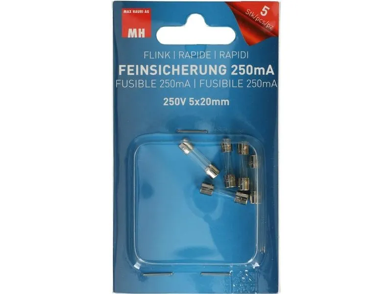 Max Hauri Schmelzsicherung 5 x 20 mm Flink 0.25 A, 5 Stück Max Hauri Schmelzsicherung 5 x 20 mm Flink 0.25 A, 5 Stück