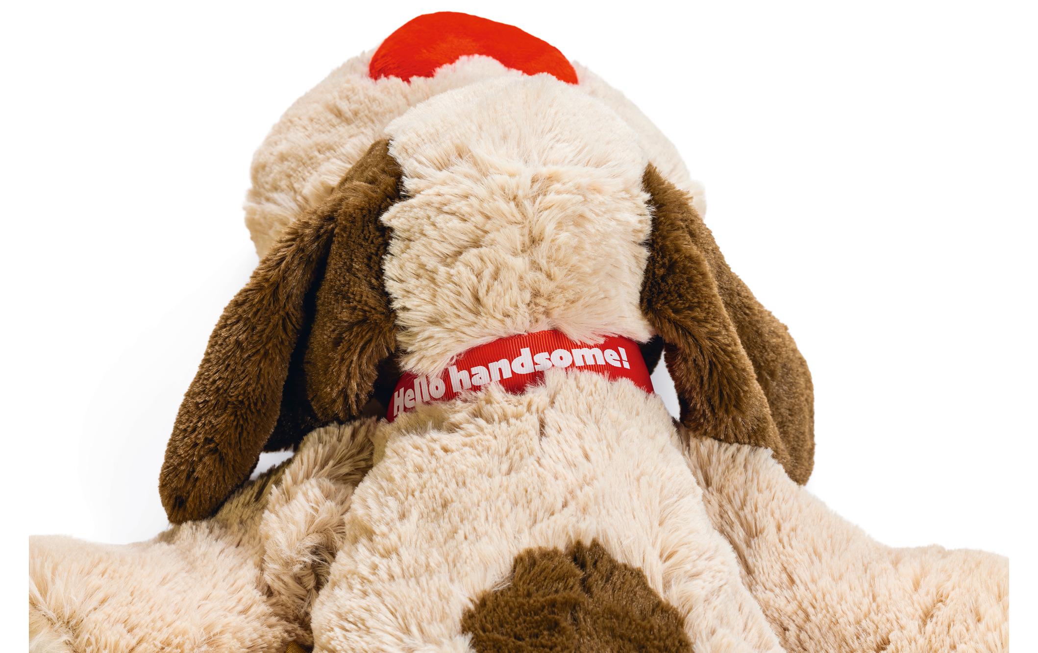 Beeztees Hunde-Spielzeug Hund Joep XL, 48 x 46 x 11 cm