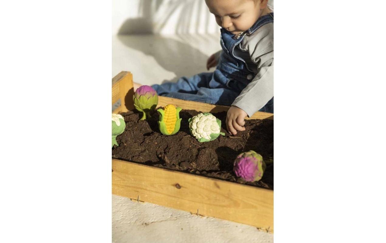 Oli&Carol Rassel Cauliflower