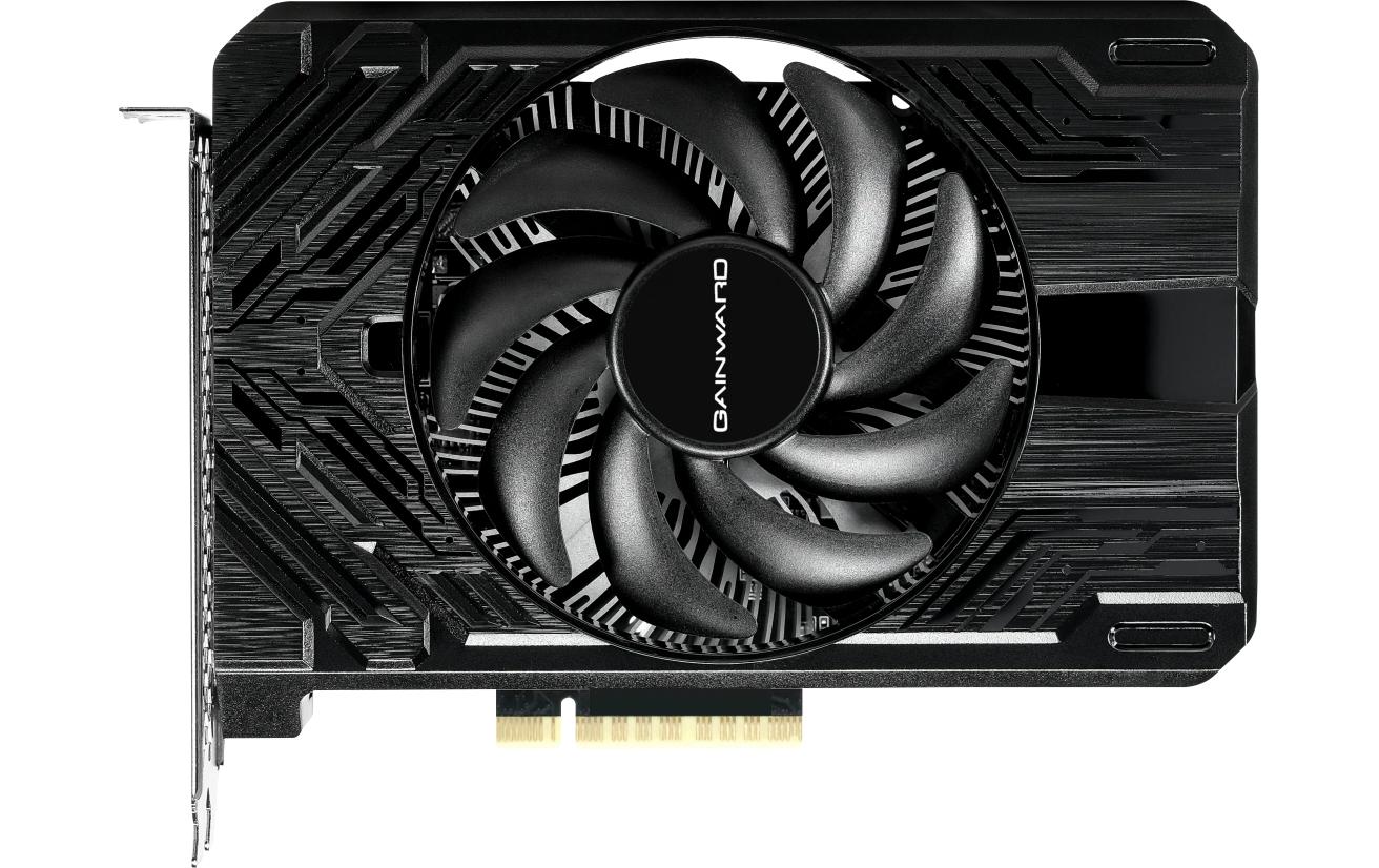 Gainward Grafikkarte GeForce RTX 4060 Pegasus 8 GB