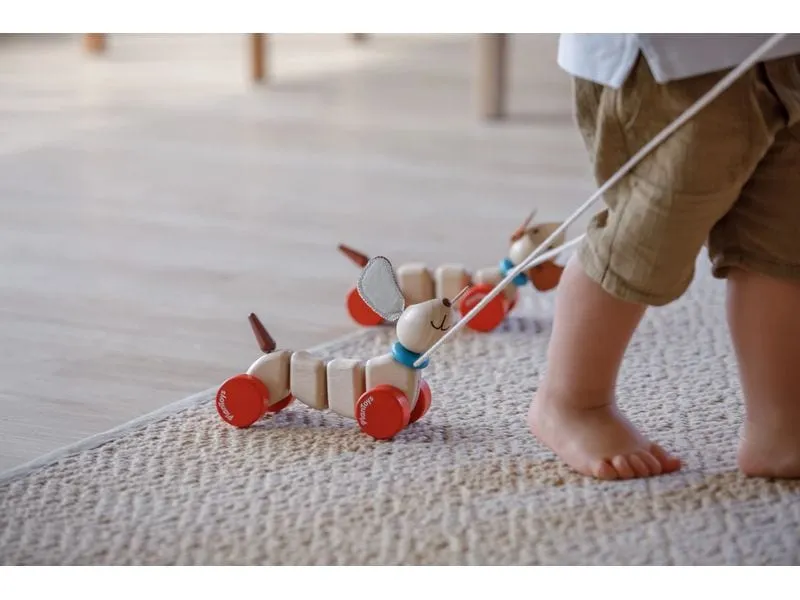 Plantoys Nachzieh-Hündchen aus Kautschukholz Plantoys Nachzieh-Hündchen aus Kautschukholz