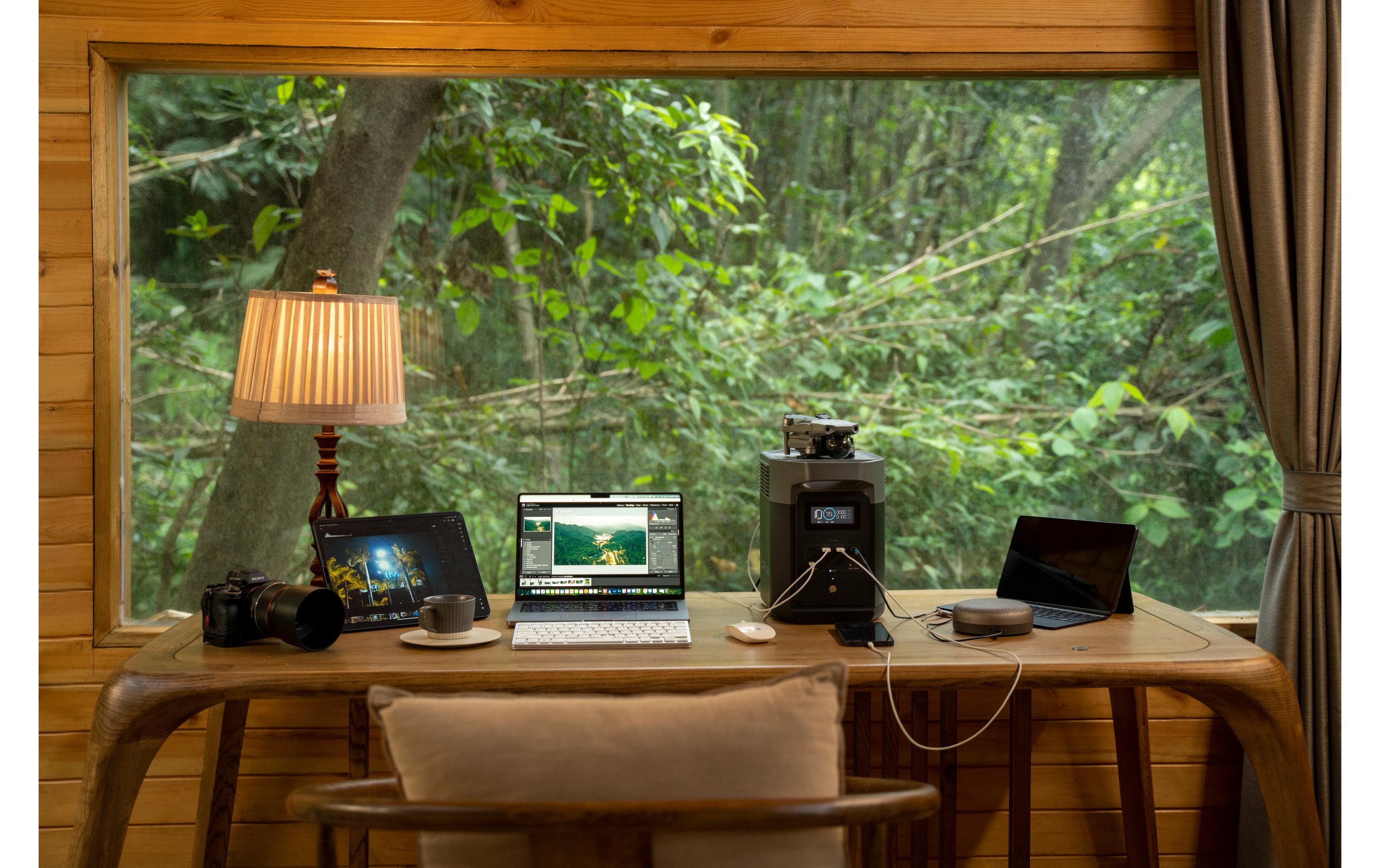 EcoFlow Power Station Delta 2, 1000 Wh