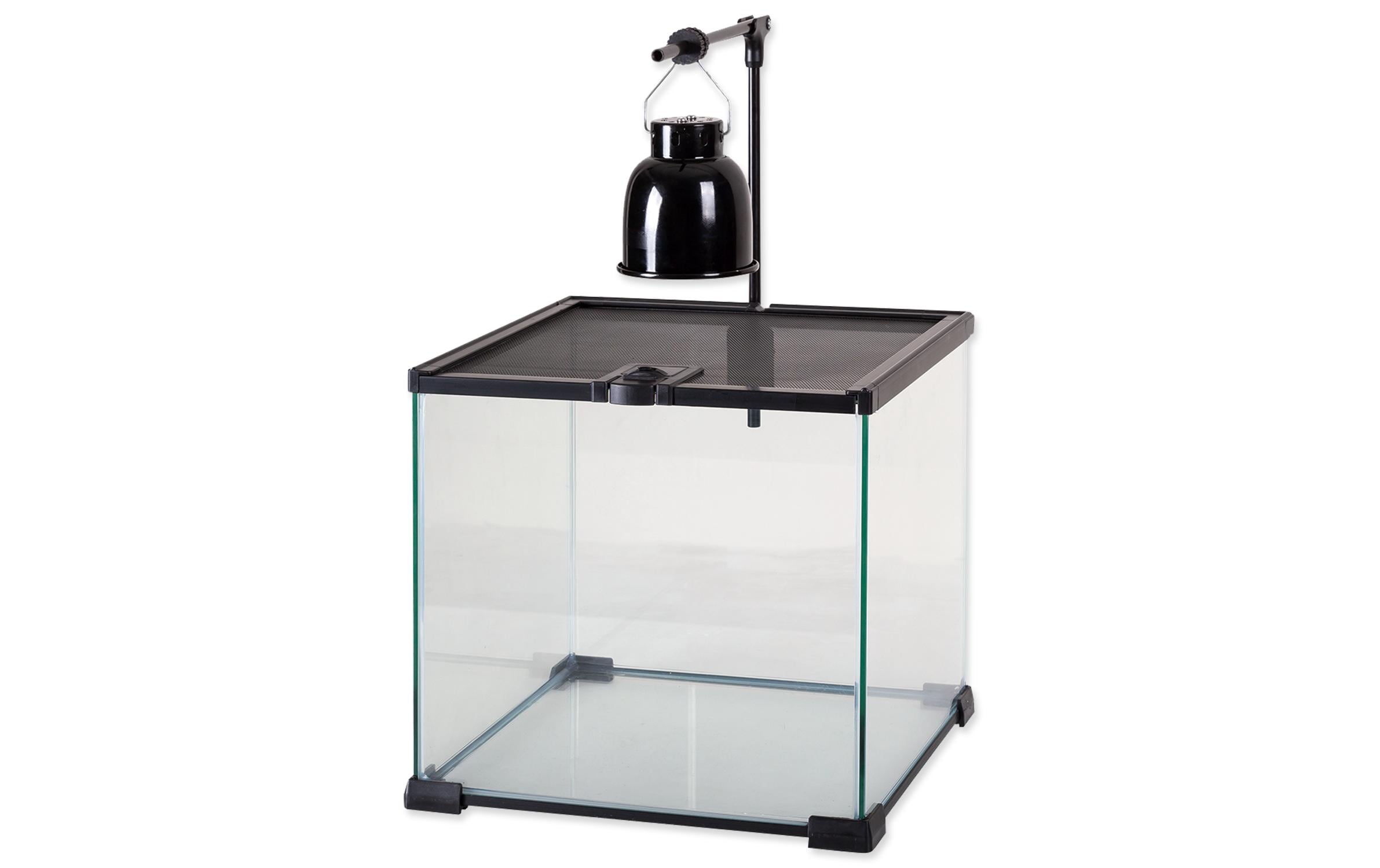 Repti Planet Reflektorlampe Mini Dome 1 x 40 W