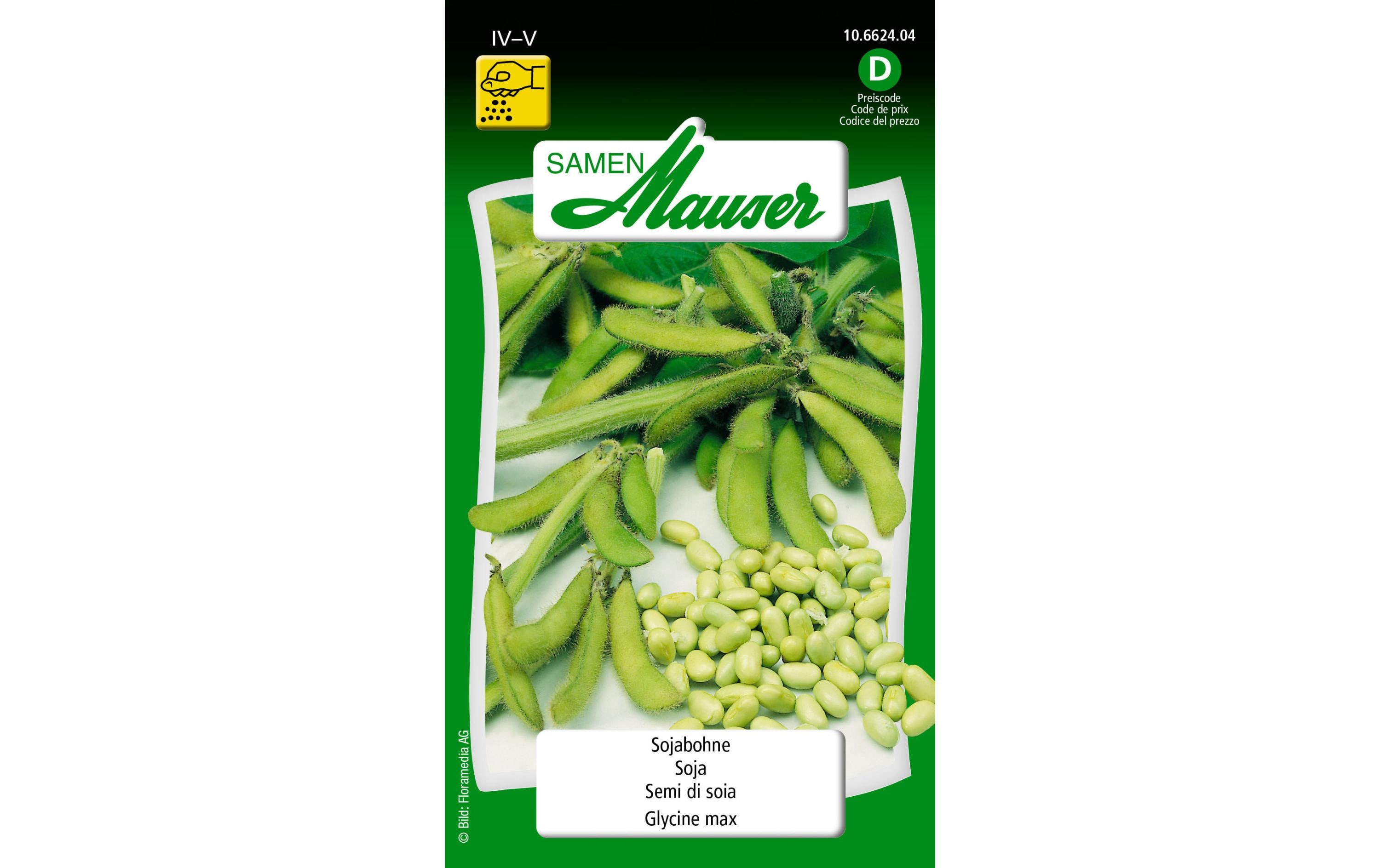 Samen Mauser Samen Sojabohne
