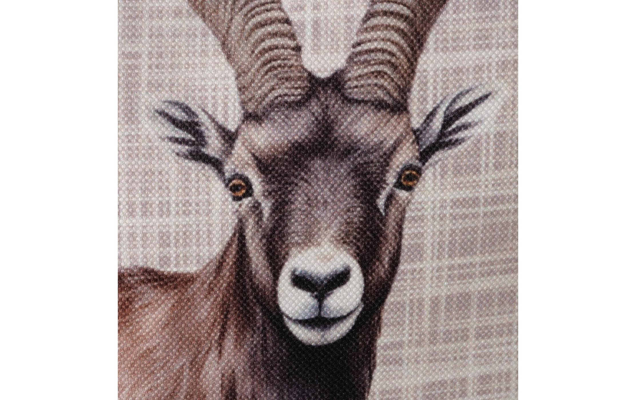 Boltze Kissen Poldie Polyester, 45 x 45 cm