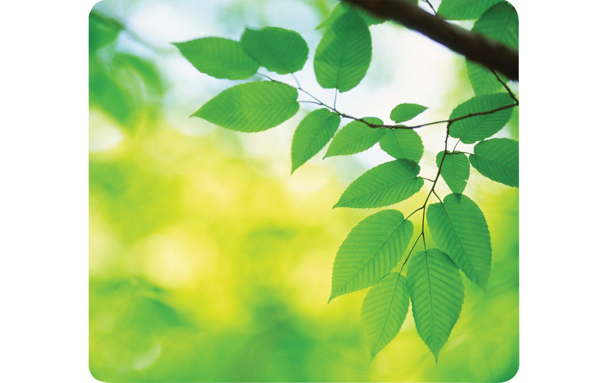 Fellowes Bedruckte Mausmatte Blätter Fellowes Bedruckte Mausmatte Blätter