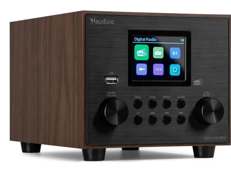Audizio DAB+ Radio Vieste Braun