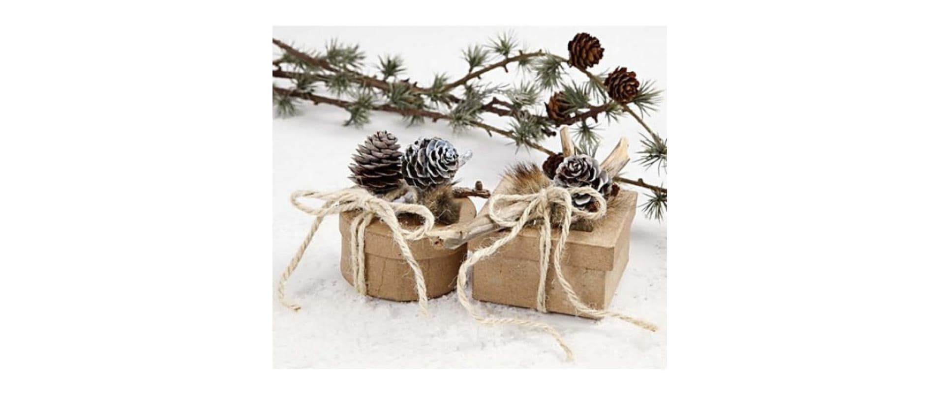 Creativ Company Tannenzapfen Kiefernzapfen 40 mm