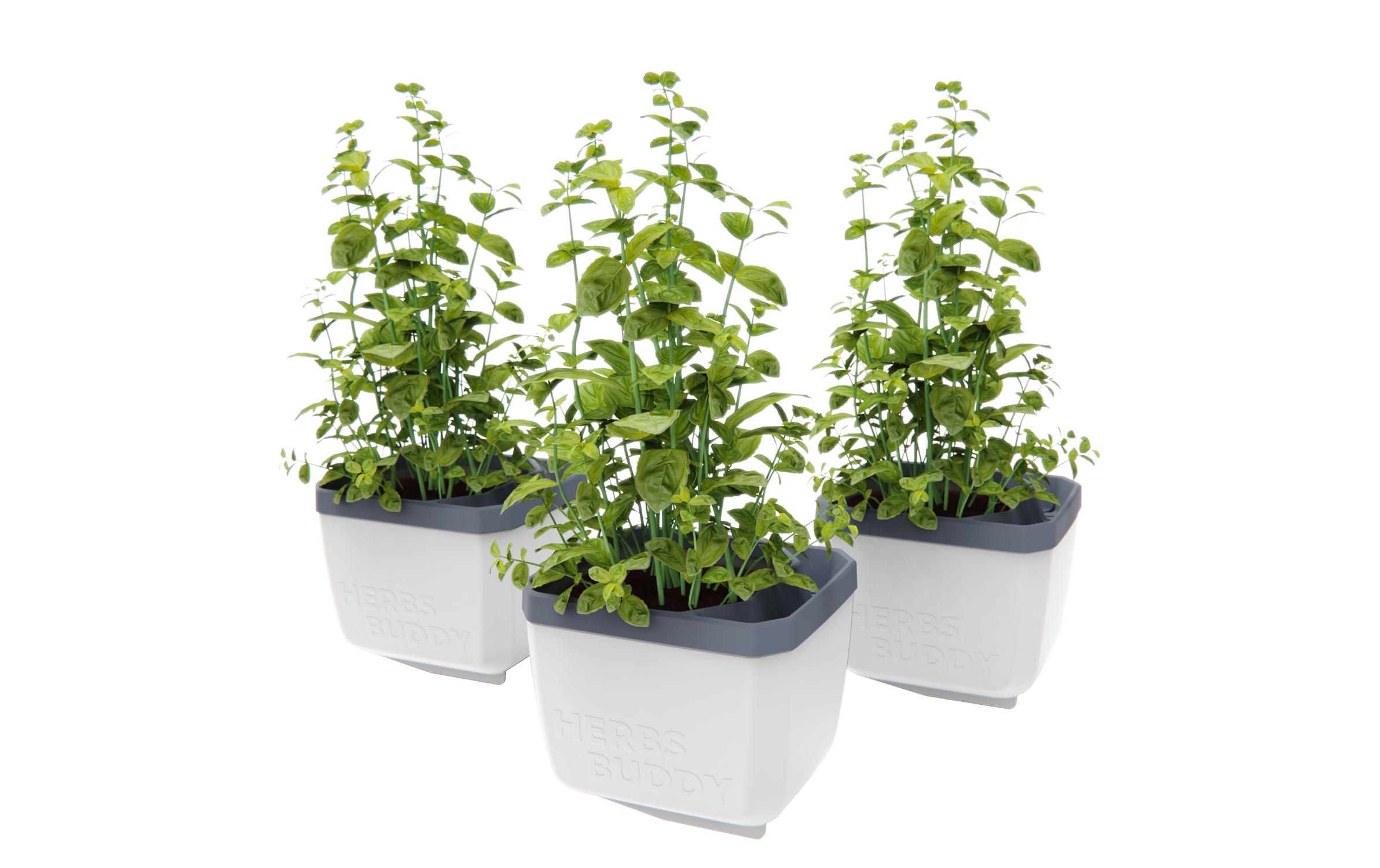 Gusta Garden HERBS BUDDY Kräutertopf 3er Set Weiss