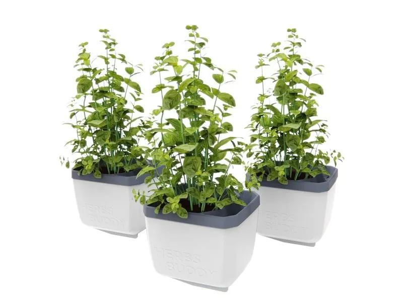 Gusta Garden HERBS BUDDY Kräutertopf 3er Set Weiss Gusta Garden HERBS BUDDY Kräutertopf 3er Set Weiss