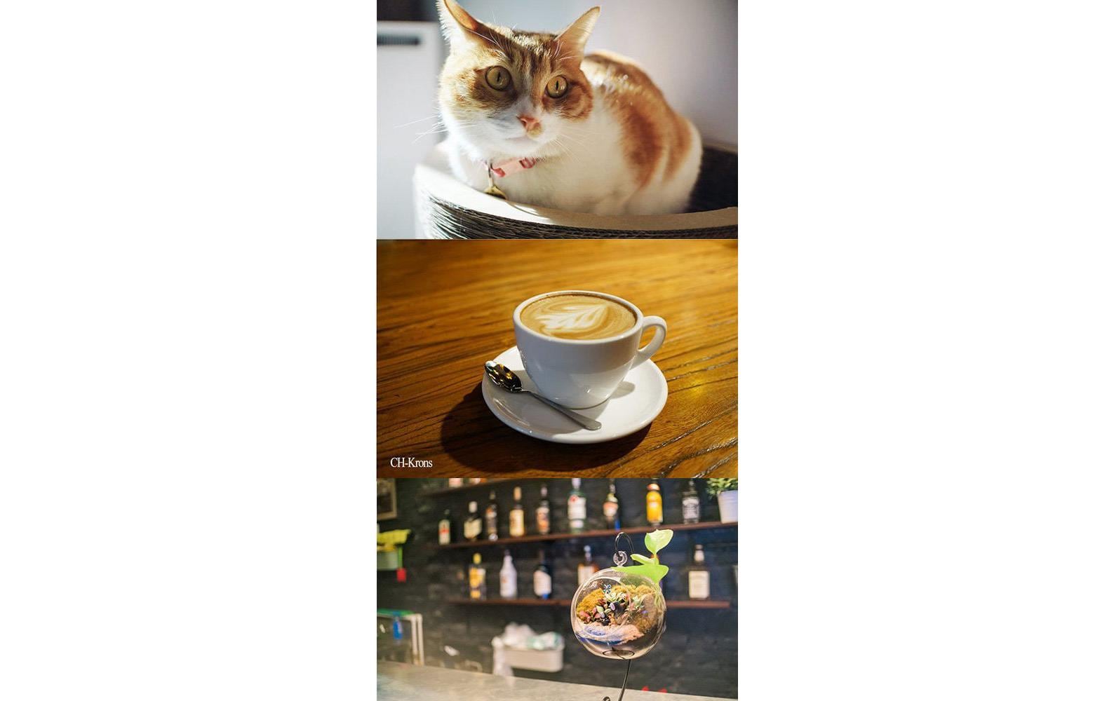 7Artisans Festbrennweite 25mm F/1.8 – MFT